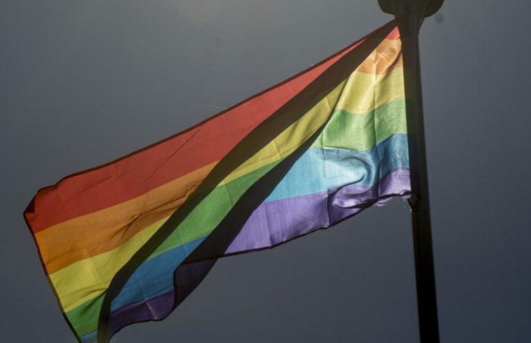 Expectativas para a Representação LGBT+ no Executivo em 2024