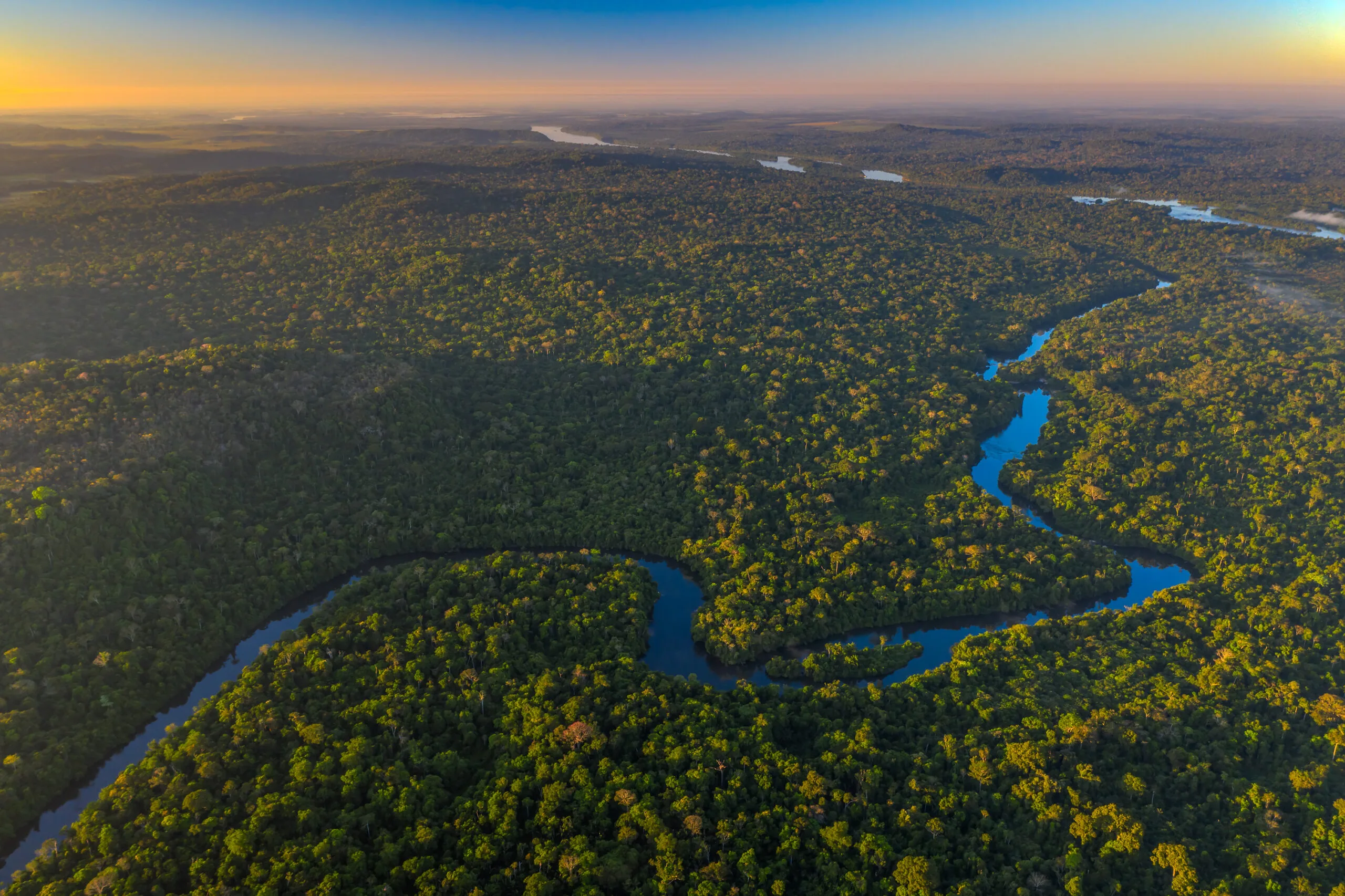 Organizações pressionam governador de MT para vetar projeto que converte áreas da Amazônia em Cerrado