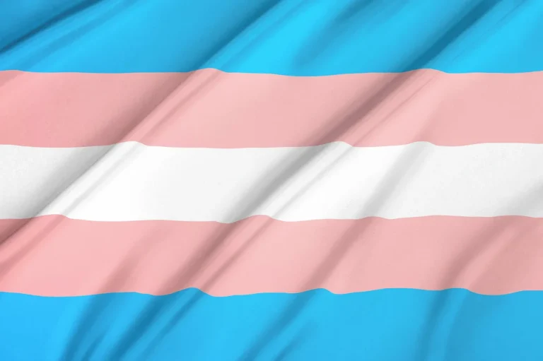 bandeira-trans-dupla-face-transsexual-145x85-cm-tecido-decoracao