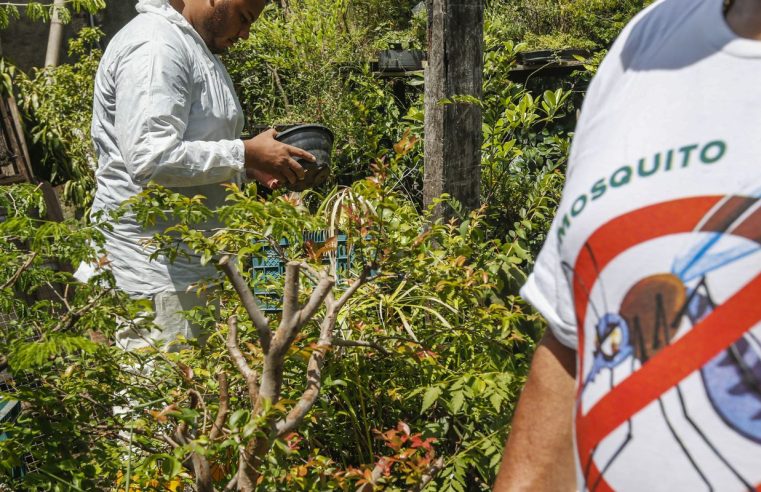 Saúde anuncia novas tecnologias de combate à dengue em MG