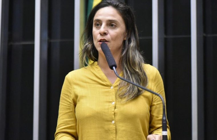 Deputada apresenta PL que pune militar que violou direitos na ditadura