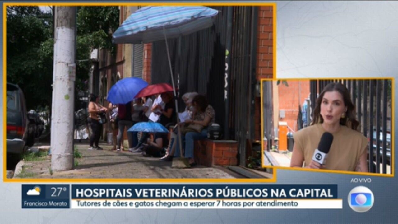 Tutores de pets esperam até 7h por atendimentos em hospitais municipais veterinários de SP; secretário promete melhora em uma semana