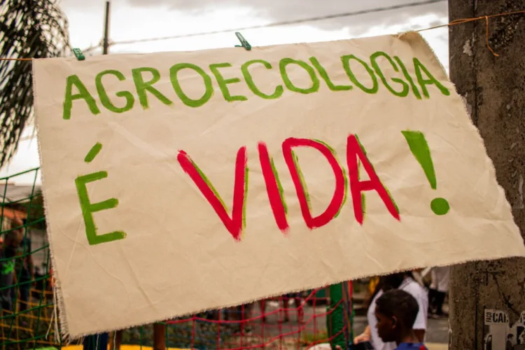 Carnaval de BH 2025: Blocos ocupam ruas pela resistência climática na festa mais politizada do Brasil