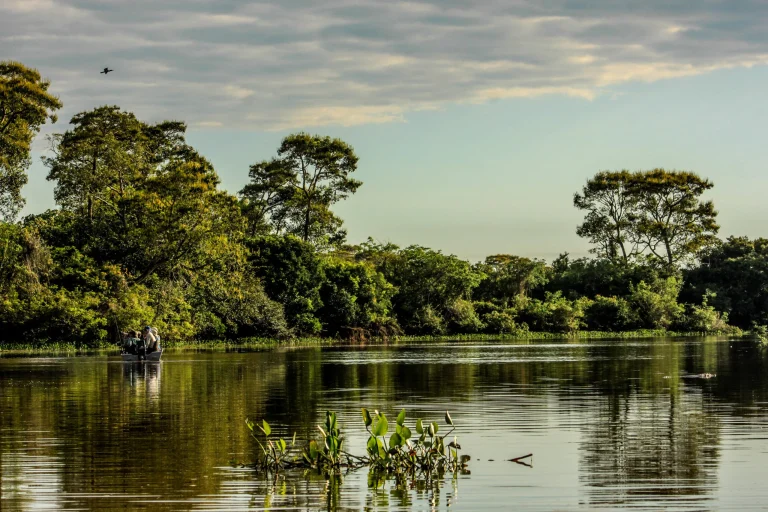 River_in_the_Parque_Nacional_do_Pantanal_Matogrossense_-_Por_dentro_do_pantanal-scaled-1-jpg.webp.webp
