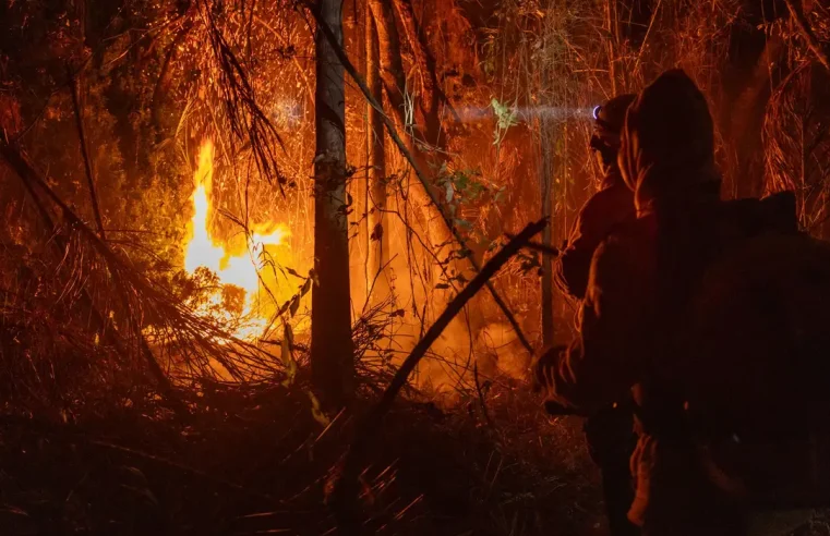 Dino homologa plano do governo contra incêndios na Amazônia e Pantanal