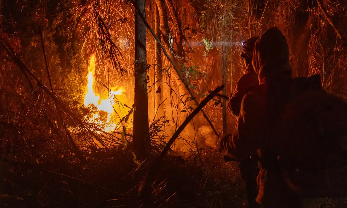 Dino homologa plano do governo contra incêndios na Amazônia e Pantanal