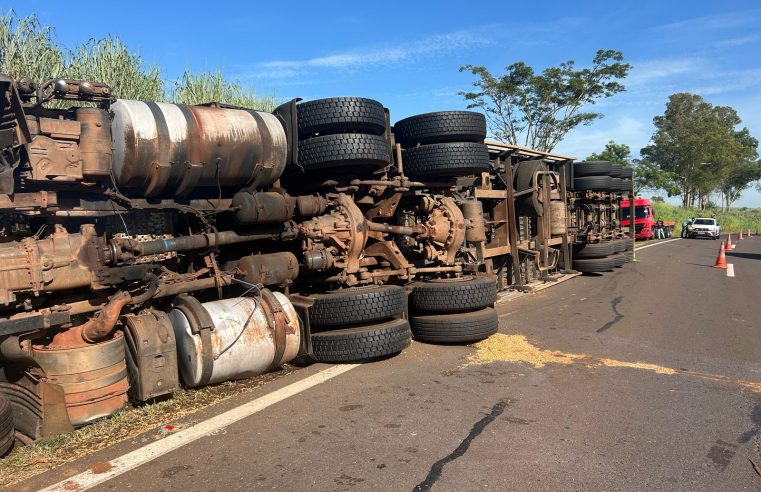 Caminhão carregado com 30 toneladas de amendoim tomba na Rodovia Comandante João Ribeiro de Barros, em Flórida Paulista