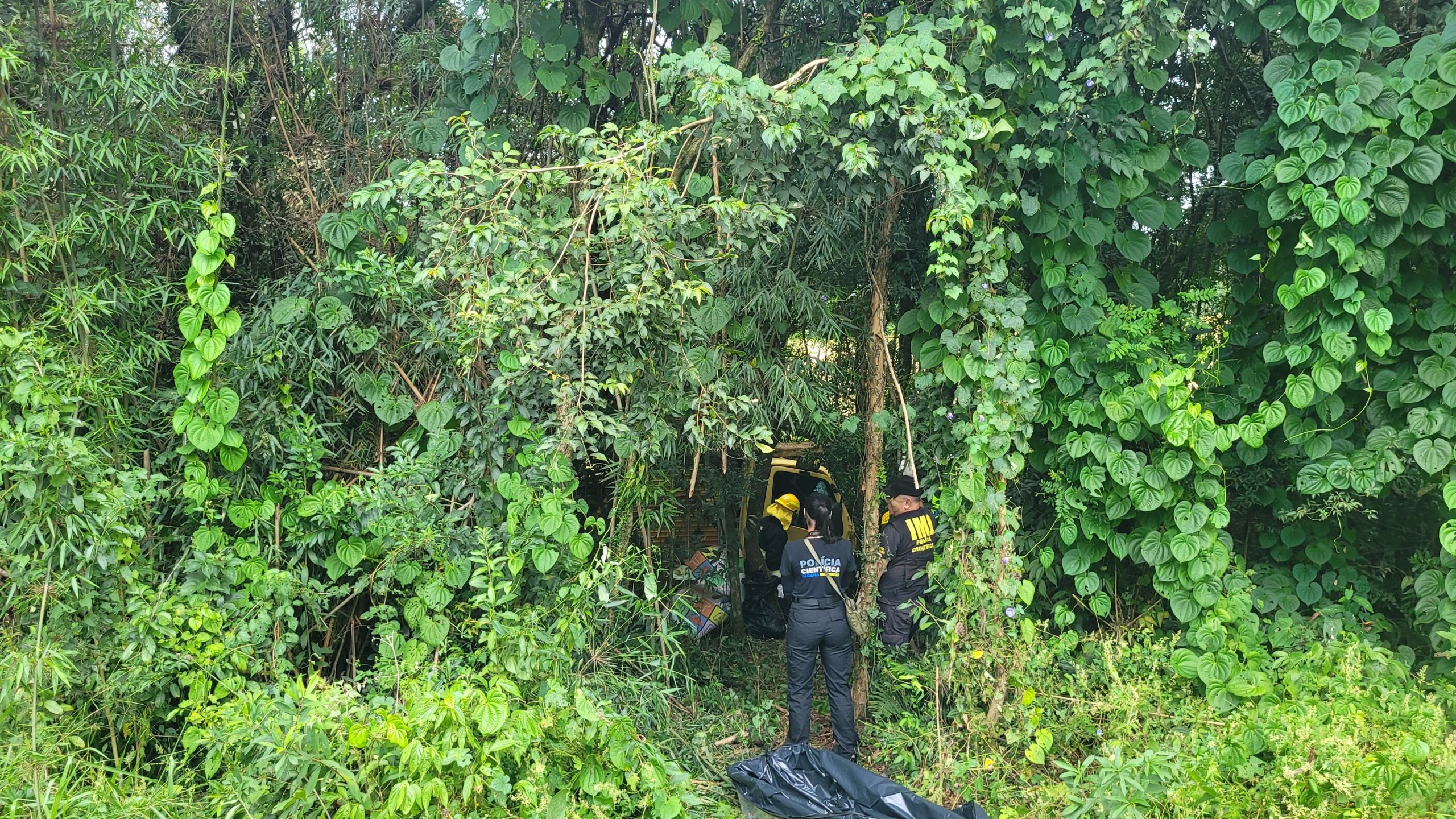 Caminhoneiro morre após cair em ribanceira na margem da BR-277, no Paraná