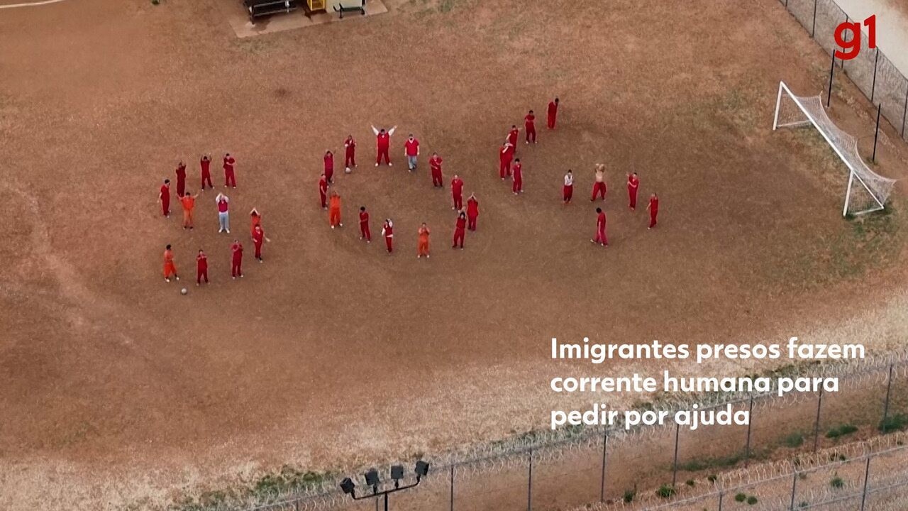 13560768.jpg
