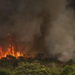 incendio-parque-nacionall_mcamgo_abr_16092024-7.jpg