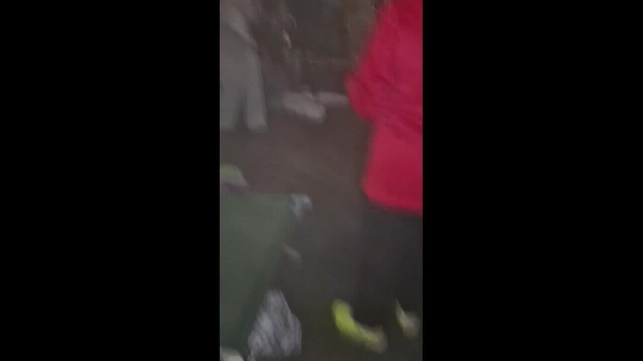 13774414.jpg