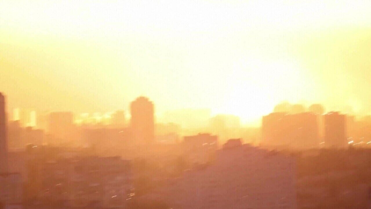 13802553.jpg