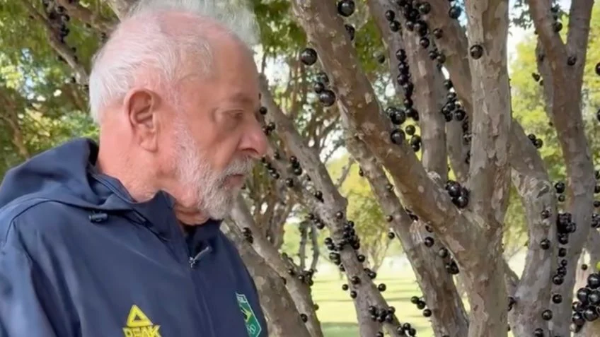 jabuticaba-lula.png