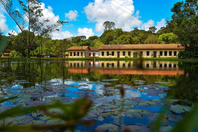 jardim-botanico-joao-pessoa.jpg