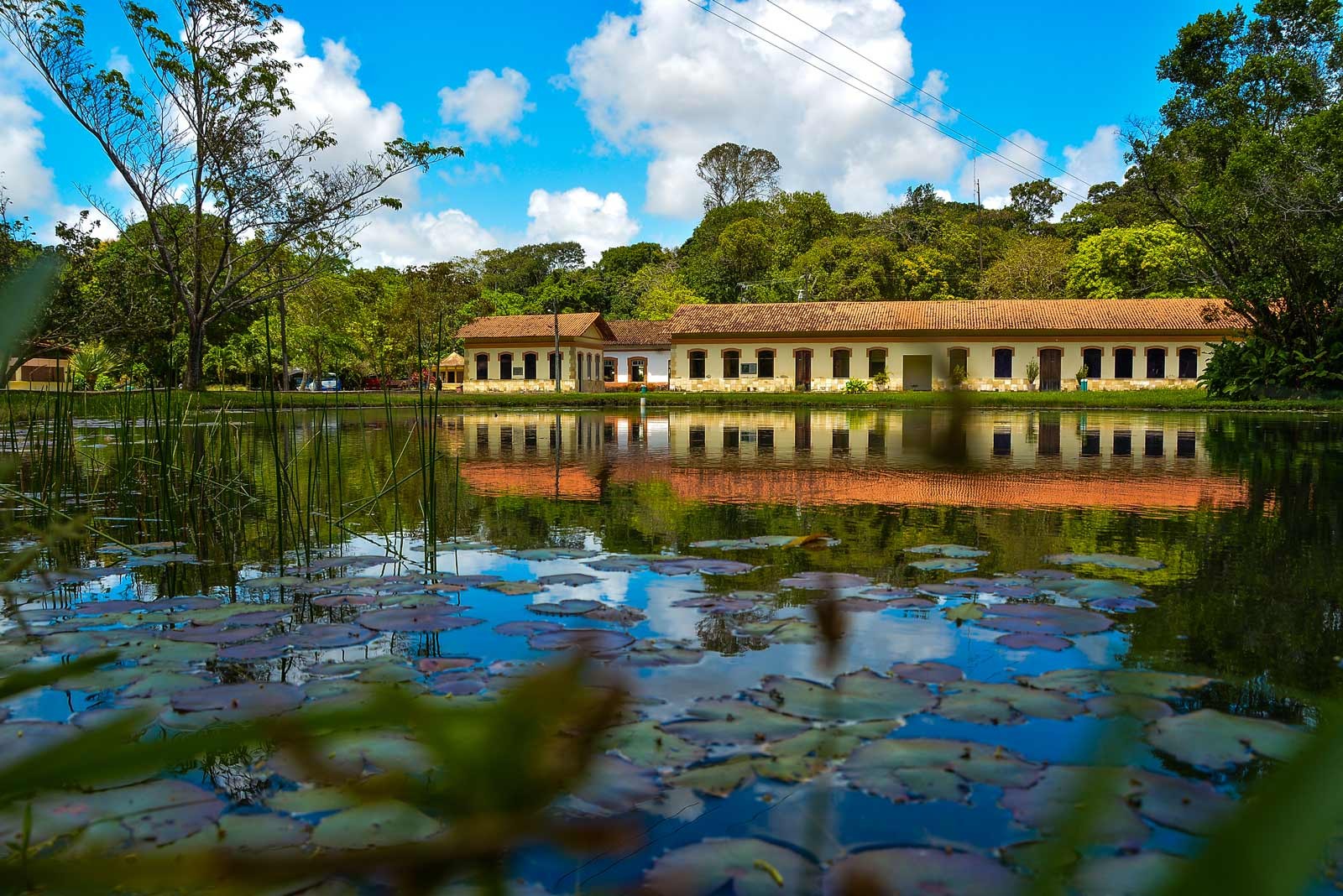 jardim-botanico-joao-pessoa.jpg