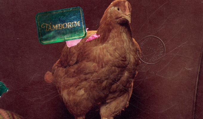 Aretuza Lovi lança “Tamborim” com Lexa e anuncia novo álbum
