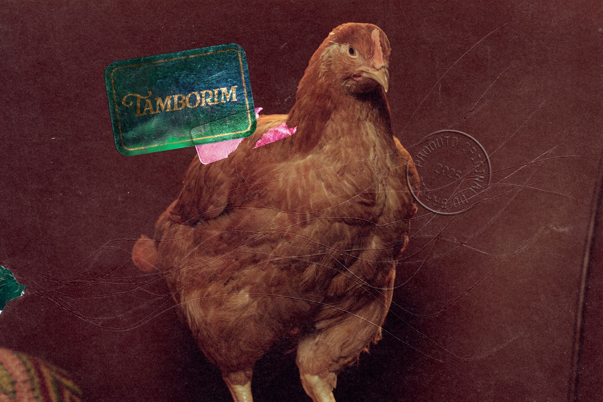Aretuza Lovi lança “Tamborim” com Lexa e anuncia novo álbum