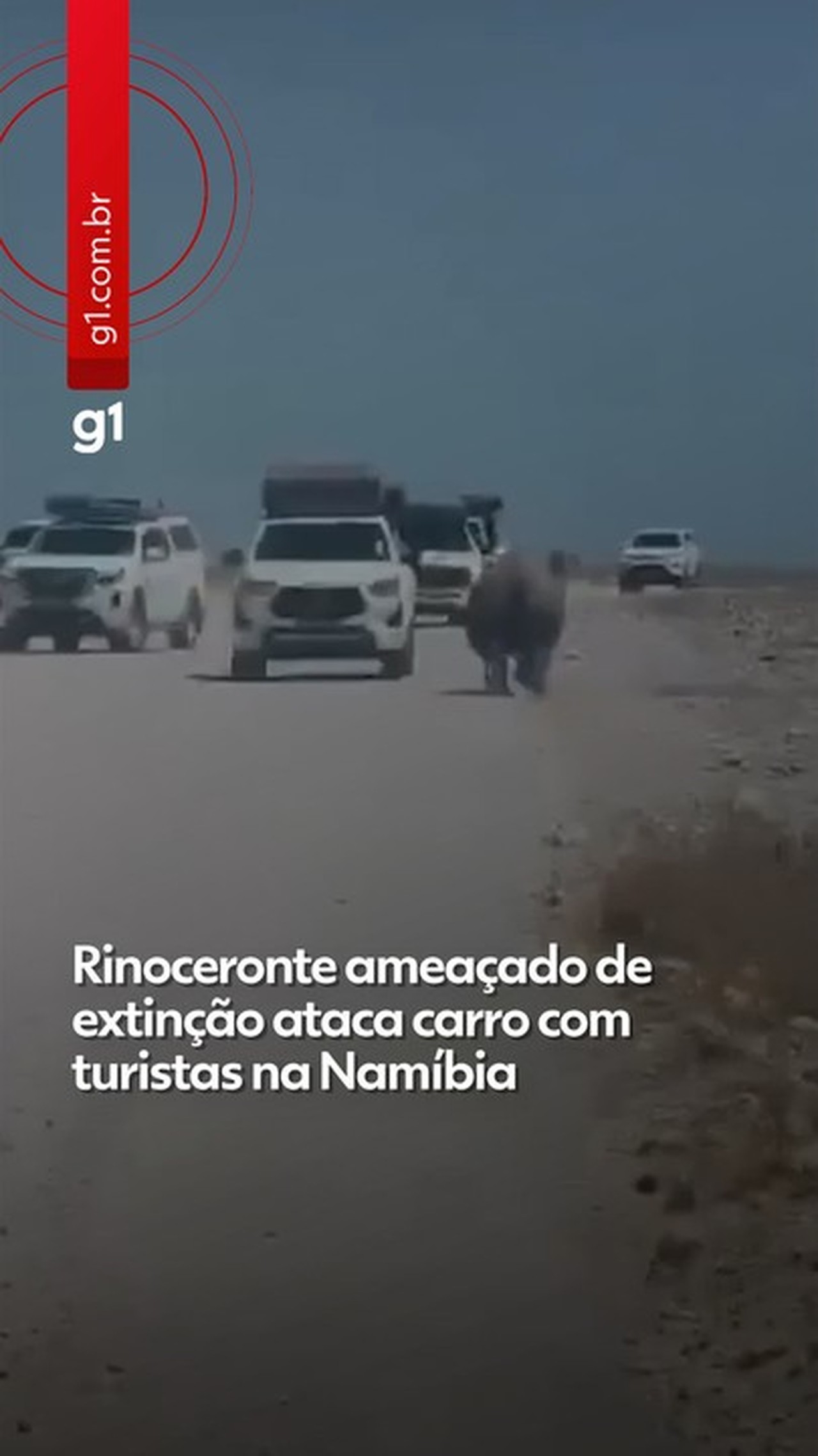 VÍDEO: Rinoceronte ameaçado de extinção é flagrado atacando carro com turistas durante safári