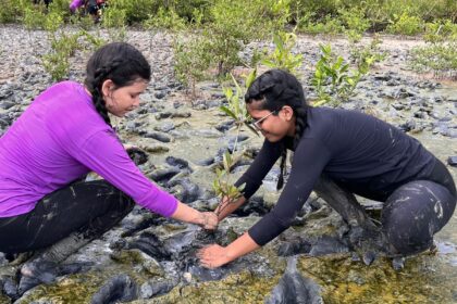 Inscrição de trabalhos no Fórum de Educação Ambiental termina dia 30