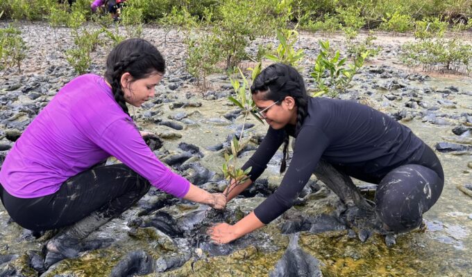 Inscrição de trabalhos no Fórum de Educação Ambiental termina dia 30