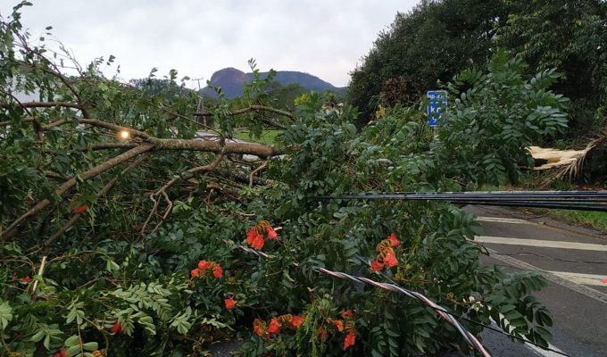 Alerta de tempestade: frente fria amplia instabilidade na Região Sul