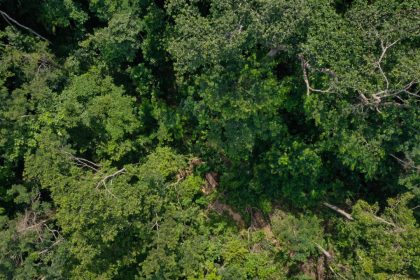 Aplicação ilegal de agrotóxico com drones em área de quase 900 hectares é investigada no Acre
