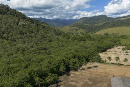 Agricultura ganha 11 milhões de hectares em 41 anos na Mata Atlântica
