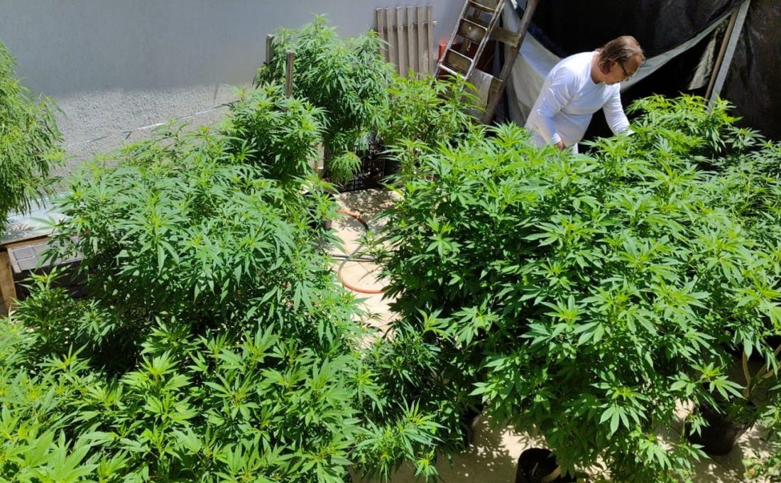 Feira em Fortaleza defende políticas sobre drogas com justiça social