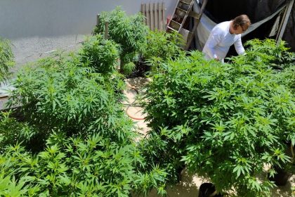 Feira em Fortaleza defende políticas sobre drogas com justiça social