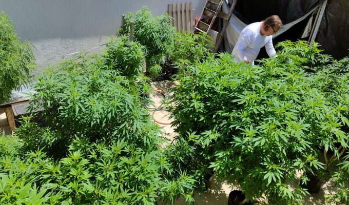 Feira em Fortaleza defende políticas sobre drogas com justiça social