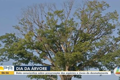 Dia da Árvore: ação socioambiental oferece serviços e atividades em praça de Belém