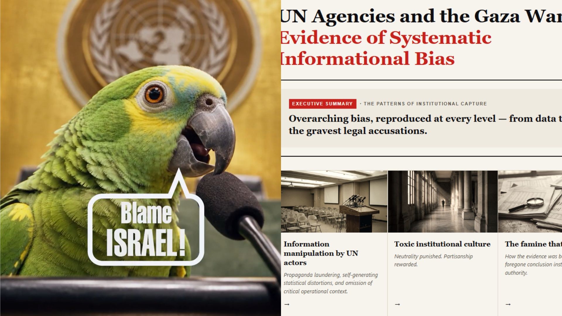 Governo Netanyahu chama críticos de ‘papagaios’ e acusa ONU de ‘viés sistemático’ contra Israel; VÍDEO