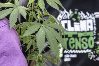 Flagrante por drogas gera mais prisão preventiva do que outros crimes