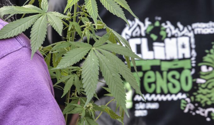 Flagrante por drogas gera mais prisão preventiva do que outros crimes