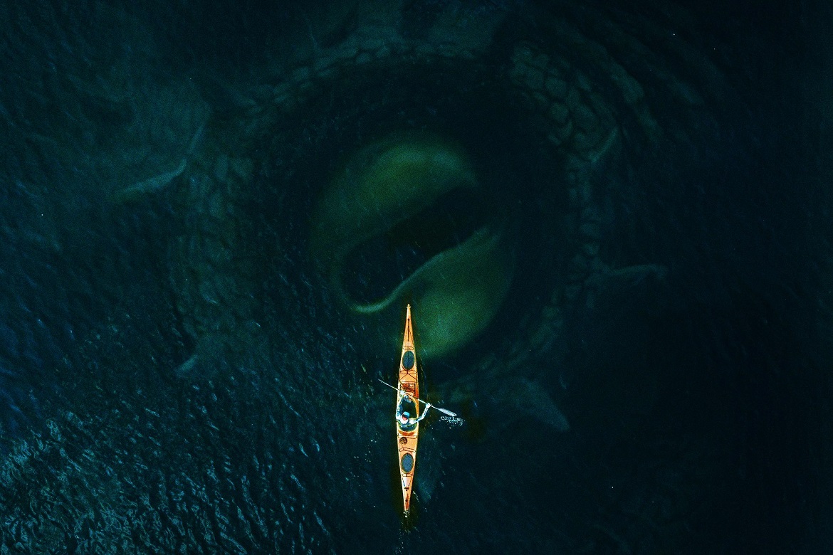 Crítica | Kraken: O Terror das Profundezas