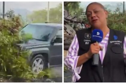 VÍDEO: Repórter e cinegrafista são atropelados durante entrada ao vivo no México