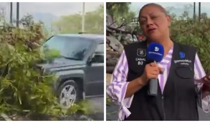 VÍDEO: Repórter e cinegrafista são atropelados durante entrada ao vivo no México