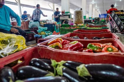 Campanha busca engajamento para reduzir desperdício de alimento