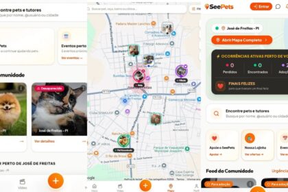 Inspirado por cachorro perdido, empresário cria rede social para conectar tutores, pets e adoções no PI