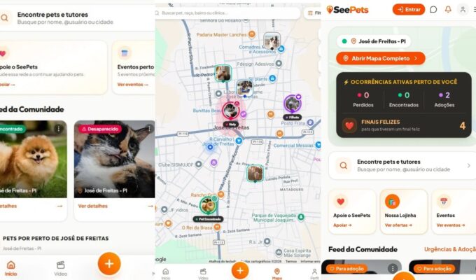 Inspirado por cachorro perdido, empresário cria rede social para conectar tutores, pets e adoções no PI