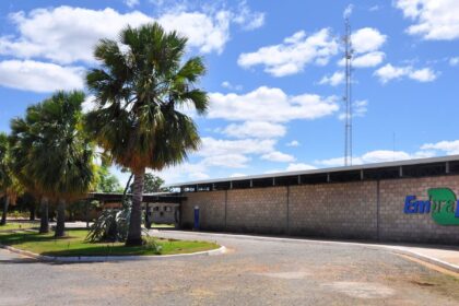 Embrapa é designada como Centro de Referência para Florestas Plantadas