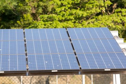 5º leilão do Eco Invest atrai quase R$ 50 bi para investimentos verdes