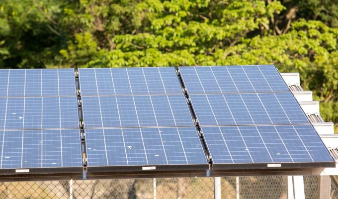 5º leilão do Eco Invest atrai quase R$ 50 bi para investimentos verdes