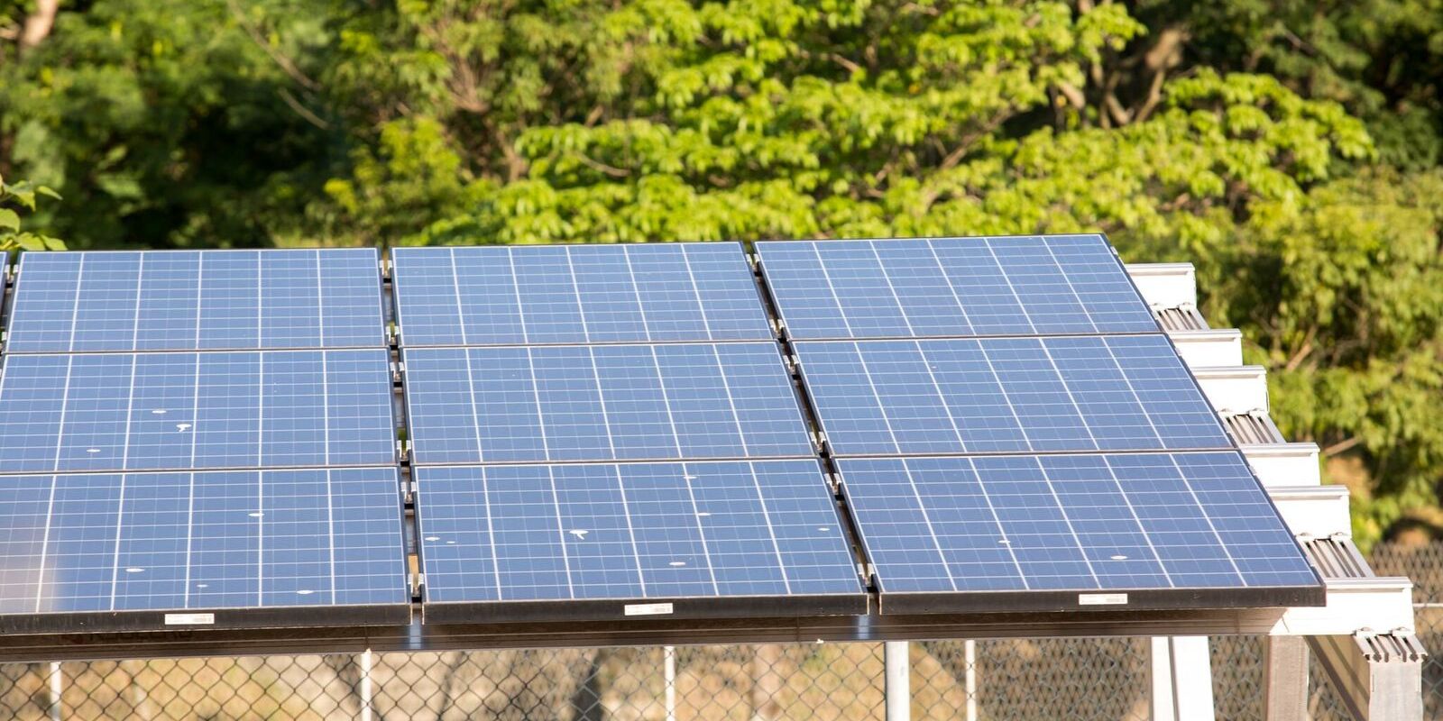 5º leilão do Eco Invest atrai quase R$ 50 bi para investimentos verdes