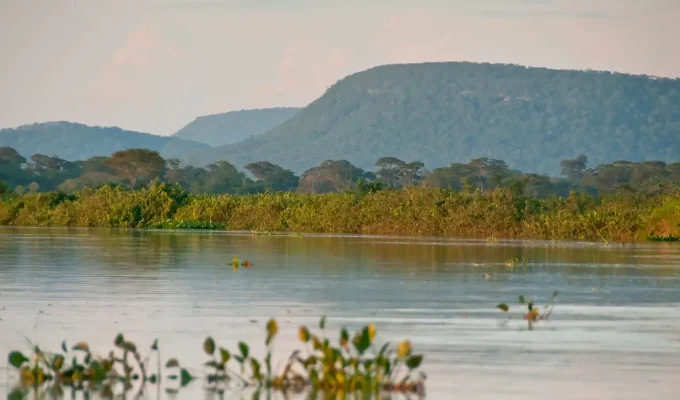 Cerrado brasileiro perdeu 13,9 milhões de hectares de margens de rios