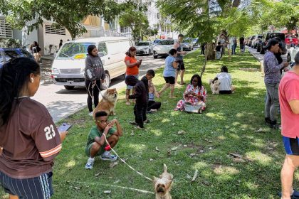 Forte terremoto sacode o Panamá; operações do canal seguem normalmente