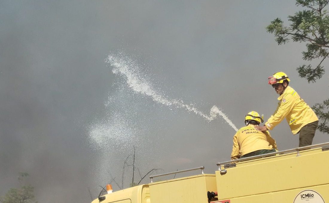 Bombeiros controlam incêndio em área de mata na UnB