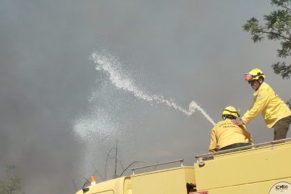 Bombeiros controlam incêndio em área de mata na UnB