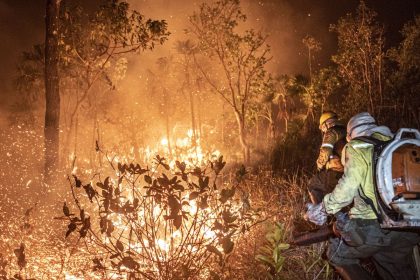 Ibama extinguiu 229 incêndios no Amazonas