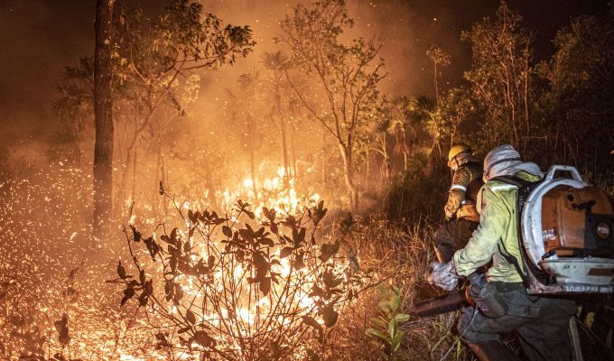 Ibama extinguiu 229 incêndios no Amazonas